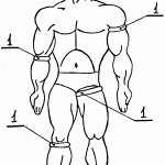 «Способ принудительного питания мышц Иванова»